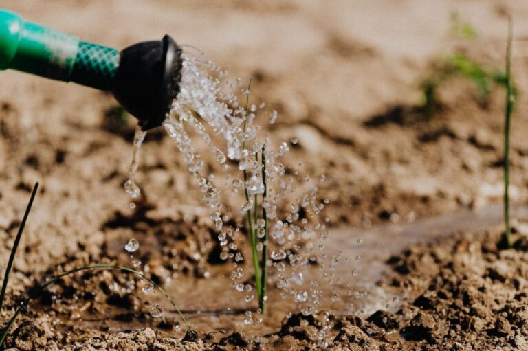 Water sparen en vergaren in de tuin Natutech